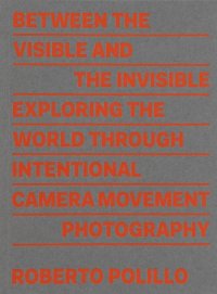 Immagine copertina libro Between the visible and the invisible. Ediz. illustrata