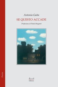 Immagine copertina libro Se questo accade