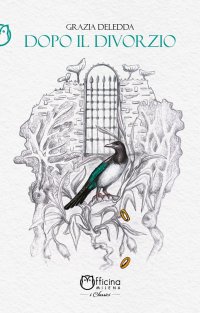 Immagine copertina libro Dopo il divorzio