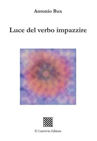 Immagine copertina libro Luce del verbo impazzire