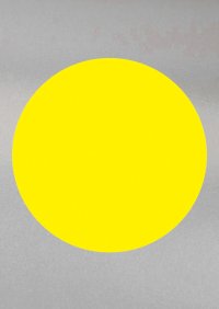 Immagine copertina libro La discoteca. Ediz. italiana e inglese