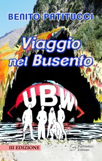 Immagine copertina libro Viaggio nel Busento