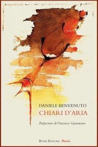 Immagine copertina libro Chiari d'aria