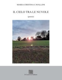 Immagine copertina libro Il cielo tra le nuvole