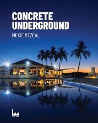 Immagine copertina libro Concrete Underground. Ediz. italiana