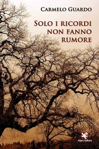 Immagine copertina libro Solo i ricordi non fanno rumore