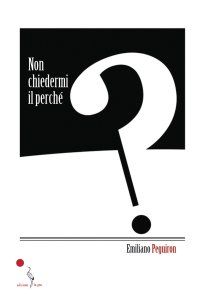 Immagine copertina libro Non chiedermi il perché