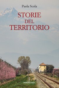 Immagine copertina libro Storie del territorio