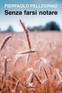 Immagine copertina libro Senza farsi notare