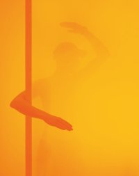 Immagine copertina libro Armin Lorenz Gerold