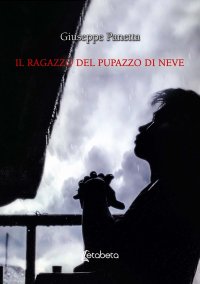 Immagine copertina libro Il ragazzo del pupazzo di neve