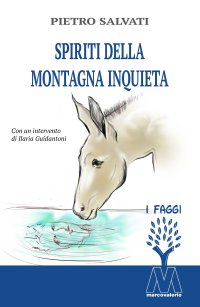 Immagine copertina libro Spiriti della montagna inquieta. Nuova ediz.