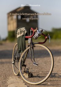 Immagine copertina libro Una bicicletta e un amore felice (una sola parola)