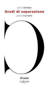 Immagine copertina libro Gradi di separazione