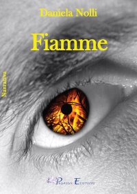 Immagine copertina libro Fiamme