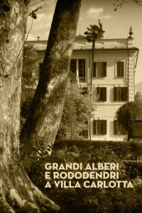 Immagine copertina libro Grandi alberi e rododendri a Villa Carlotta
