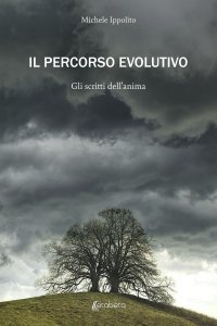 Immagine copertina libro Il percorso evolutivo. Gli scritti dell'anima