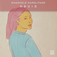 Immagine copertina libro Druid. Ediz. illustrata
