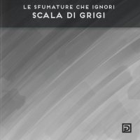 Immagine copertina libro Scala di grifi