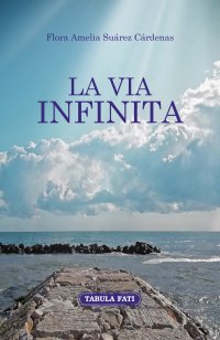 Immagine copertina libro La via infinita
