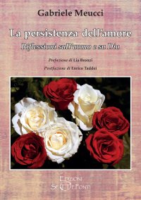 Immagine copertina libro La persistenza dell'amore. Riflessioni sull'uomo e su Dio