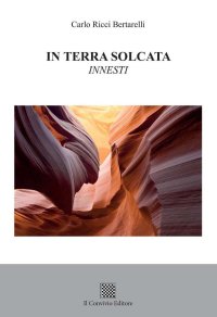 Immagine copertina libro In terra solcata. Innesti