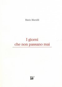 Immagine copertina libro I giorni che non passano mai. Nuova ediz.