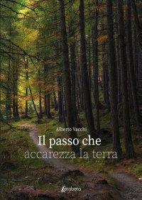 Immagine copertina libro Il passo che accarezza la terra