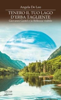 Immagine copertina libro Tenero il tuo lago di erba tagliente. Giovanni Gastel e la bellezza visibile