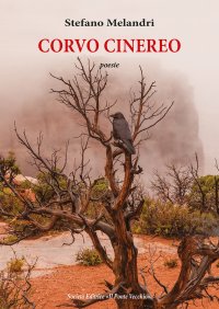 Immagine copertina libro Corvo cinereo