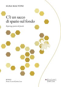 Immagine copertina libro C'è un sacco di spazio sul fondo. Reportage poetico del piccolo