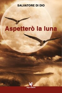 Immagine copertina libro Aspetterò la luna