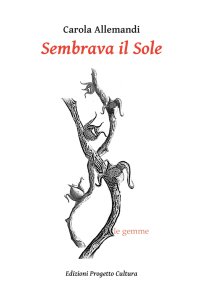 Immagine copertina libro Sembrava il Sole