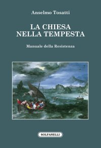 Immagine copertina libro La Chiesa nella tempesta. Manuale della resistenza