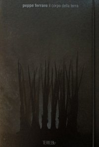 Immagine copertina libro Il corpo della terra
