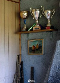 Immagine copertina libro Non andare troppo lontano. Ediz. illustrata