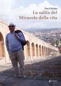 Immagine copertina libro La salita del miracolo della vita