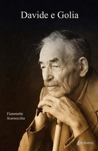Immagine copertina libro Davide e Golia