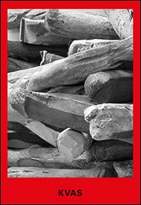 Immagine copertina libro Andrea Kvas. Ediz. italiana e inglese