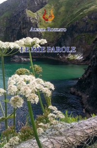 Immagine copertina libro Le mie parole
