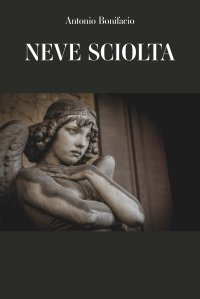 Immagine copertina libro Neve sciolta