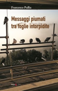 Immagine copertina libro Messaggi piumati tra foglie intorpidite