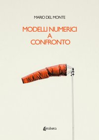 Immagine copertina libro Modelli numerici a confronto