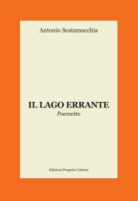 Immagine copertina libro Il lago errante. Poemetto