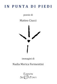 Immagine copertina libro In punta di piedi