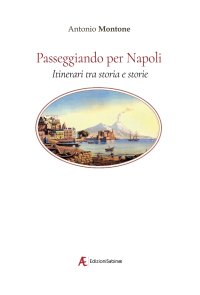 Immagine copertina libro Passeggiando per Napoli. Itinerari tra storia e storie