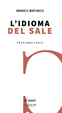 Immagine copertina libro L'idioma del sale