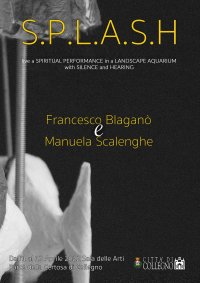 Immagine copertina libro S.P.L.A.S.H.. Live a spiritual performance in a landscape aquarium with silence and hearing