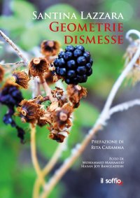 Immagine copertina libro Geometrie dismesse