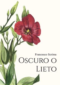 Immagine copertina libro Oscuro o lieto